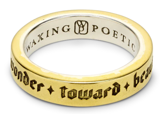 Guidance Ring